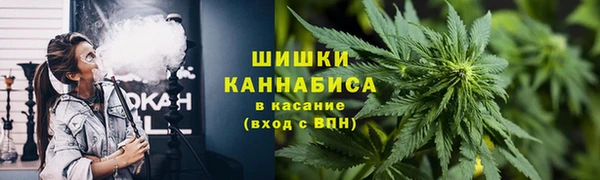 ГАЛЛЮЦИНОГЕННЫЕ ГРИБЫ Баксан