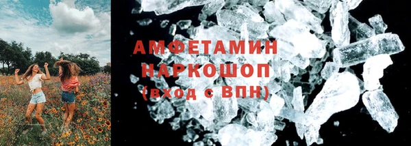 ГАЛЛЮЦИНОГЕННЫЕ ГРИБЫ Баксан